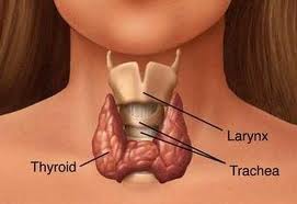 malattiendocrine