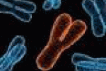 Il fumo cancella il cromosoma maschile Y - Tiscali