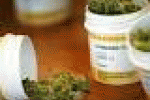 Sperimentazione di farmaci da cannabis, via libera dal Consiglio ... - BariLive.it