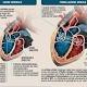 Super-mappe 3D per ridare - Corriere della Sera