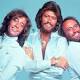 Arresto cardiaco, fare ripartire il cuore al ritmo dei Bee Gees - Vita di Donna Community