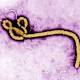 Allarme Ebola: colpita Monrovia - Corriere della Sera