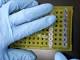 Influenza aviaria, in Cina 134 casi - RaiNews24