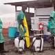 Ebola confermata in Repubblica Democratica del Congo: Onu ... - Rai News