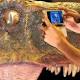 Ritrovato il più grande dinosauro della storia, 9 metri e 60mila kg - TMNews