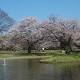 Tokyo chiude il parco Yoyogi per l'allarme sulla febbre dengue - Il Sole 24 Ore