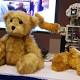 Pet therapy hi-tech, l'orsetto robot che cura i bambini - Data manager online