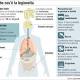 Legionella: ecco come si contrae - TGCOM